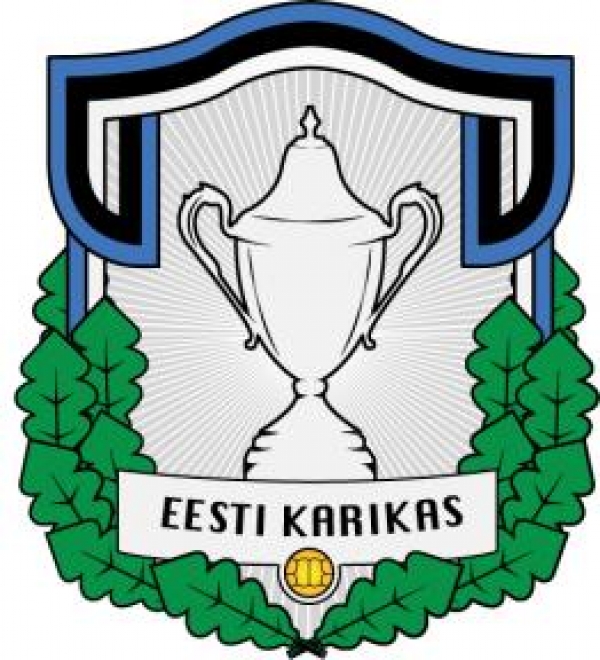 В 1/32 финала Кубка Эстонии сыграет две наши команды
